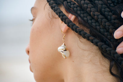 Pearl Nautilus Seashell Earrings