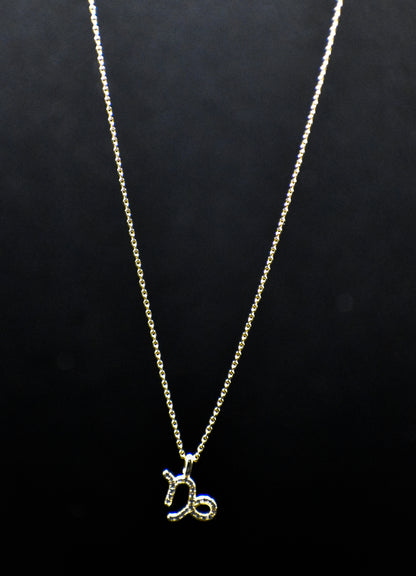 Dainty Rhinestone Zodiac Gold Necklace